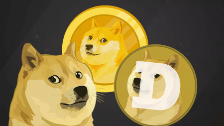 Ar trebui să investești în imitația Dogecoin în StormGain?
