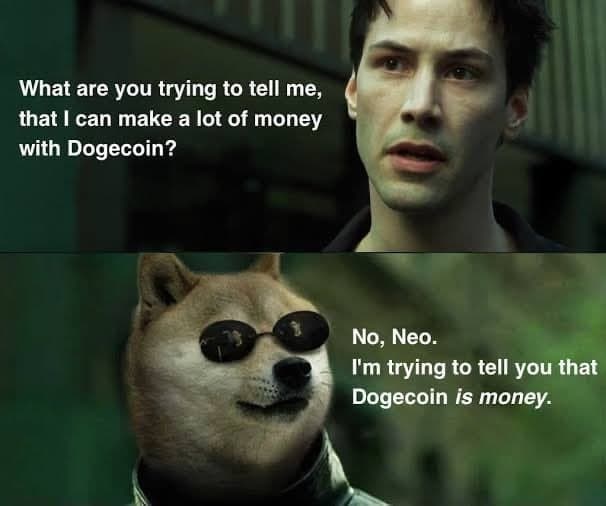 آیا باید روی نسخه کپی Dogecoin در StormGain سرمایه گذاری کنید؟